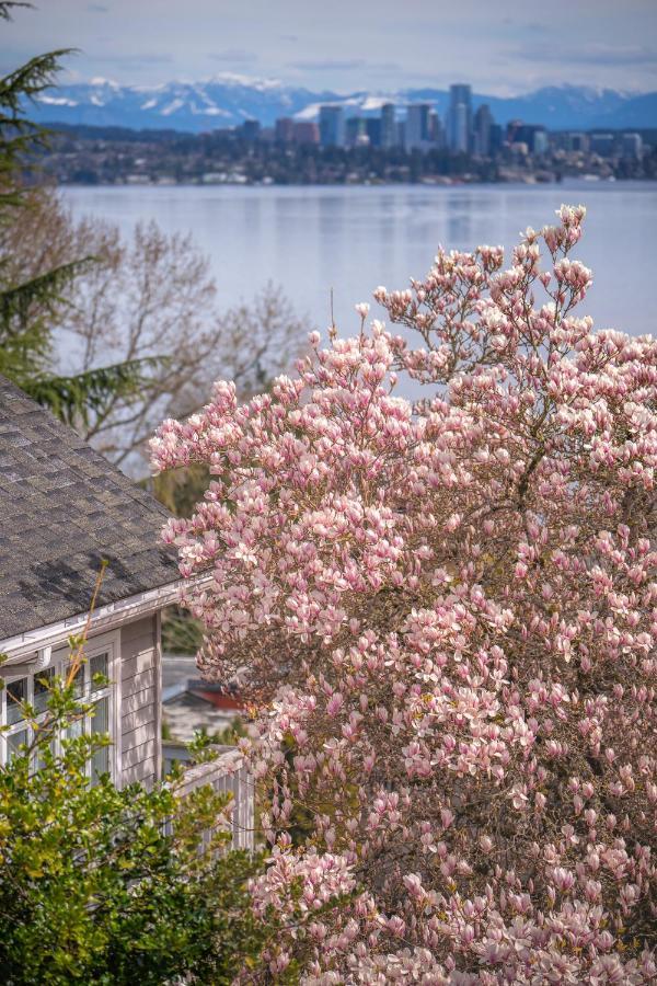 Sunrise On Lake Washington Villa Seattle Dış mekan fotoğraf